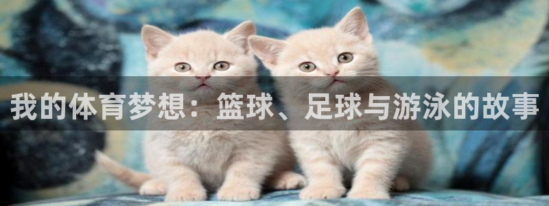 米兰体育官网下载招商电话号码是多少号:我的体育梦想:篮球、足