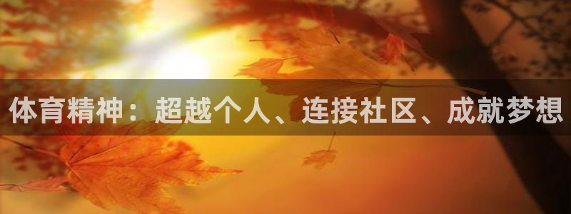 米兰体育官网下载平台注册流程视频:体育精神:超越个人、连接社